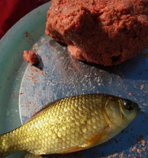 初冬野钓鲤鱼鲫鱼技巧有哪些？如何提高钓获率？