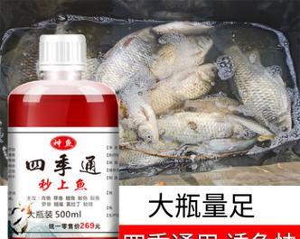 初冬夜钓鱼技巧野钓鲫鱼饵料怎么选？有哪些高效方法？