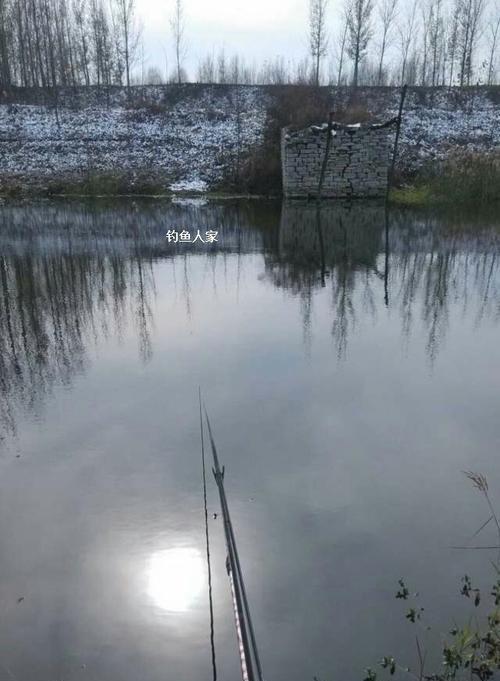 初冬阴雨钓鱼方法与技巧教程？如何应对天气变化提高钓鱼成功率？