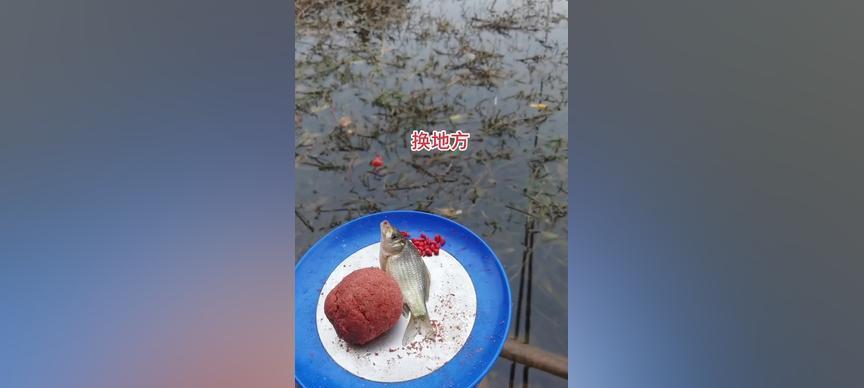 初冬雨天野钓鲫鱼应该注意哪些技巧？有哪些有效的方法？
