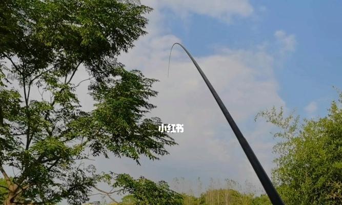 初秋白天钓鱼技巧有哪些？如何提高白天钓鱼的成功率？