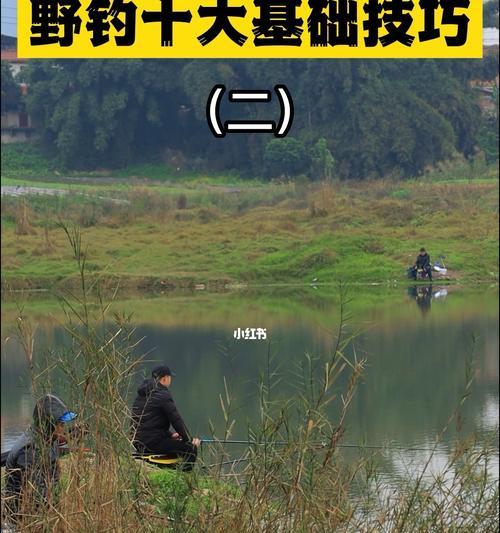 初秋白天钓鱼技巧有哪些？如何提高白天钓鱼的成功率？
