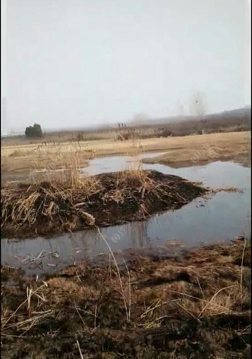 初秋钓鱼技巧有哪些？如何利用肥水提高钓鱼成功率？
