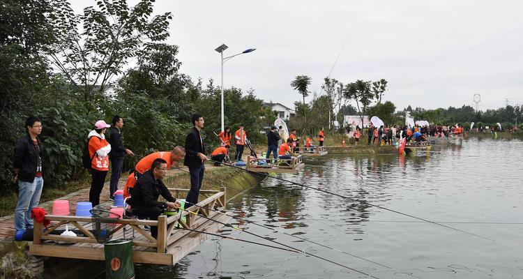 初秋连续阴雨天钓鱼技巧是什么？如何应对天气变化提高钓鱼成功率？