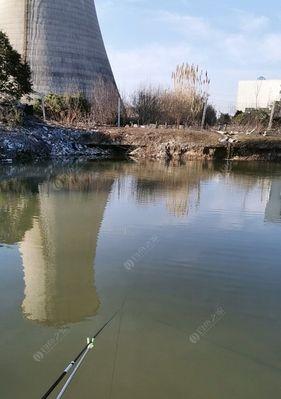 初秋野塘野钓技巧？如何提高钓鱼成功率？