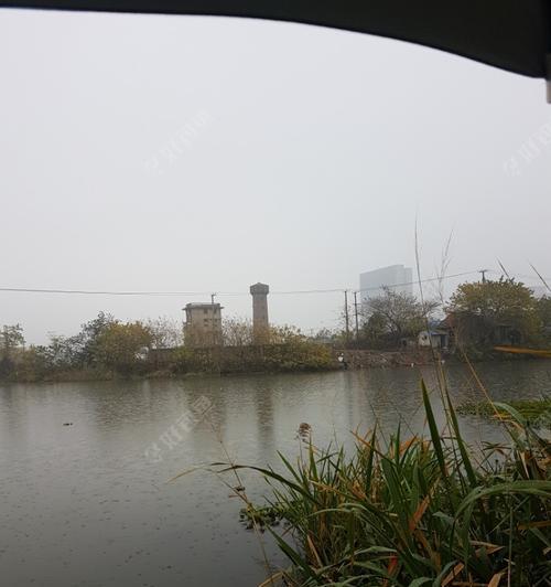初秋雨天钓鱼技巧有哪些？如何提高雨天钓鱼的成功率？