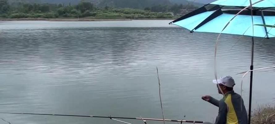 初秋雨天钓鱼技巧有哪些？如何提高雨天钓鱼的成功率？