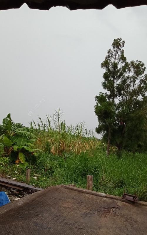 初夏大太阳午后钓鱼技巧是什么？如何应对高温天气提高钓鱼成功率？