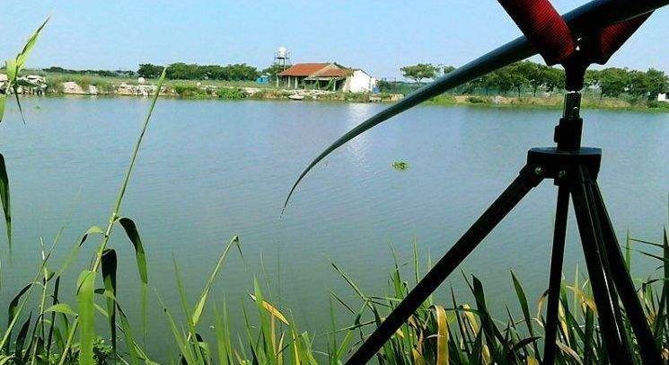 初夏钓鱼开饵技巧有哪些？秋冬季开饵又该如何调整？