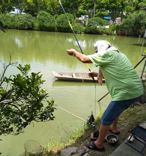 初夏东北钓鱼技巧教学？如何提高钓鱼成功率？