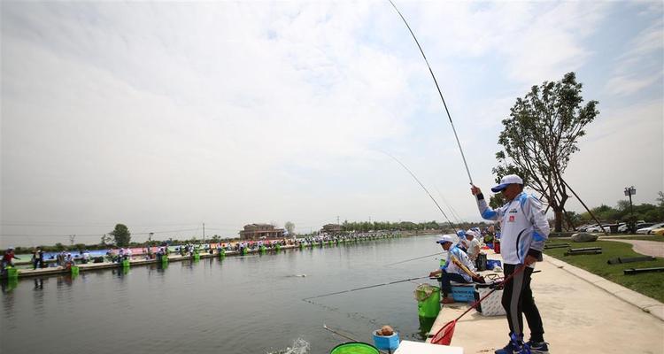 初夏湖库黄尾鱼垂钓选位技巧是什么？如何提高垂钓成功率？