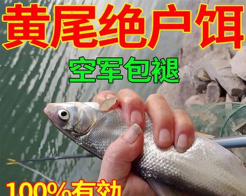 初夏湖库黄尾鱼垂钓选位技巧是什么？如何提高垂钓成功率？