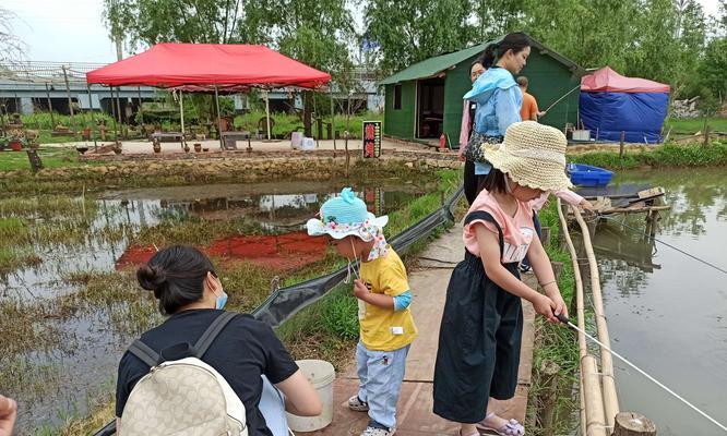 初夏降温5度钓鱼技巧？如何应对温度变化提高钓鱼成功率？