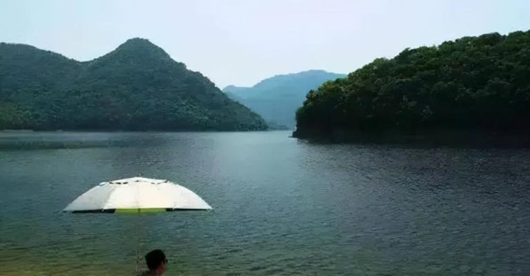 初夏降雨降温钓鱼技巧？如何应对天气变化提高钓鱼成功率？
