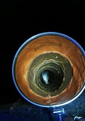 初夏南方野钓夜钓技巧有哪些？如何应对常见问题？