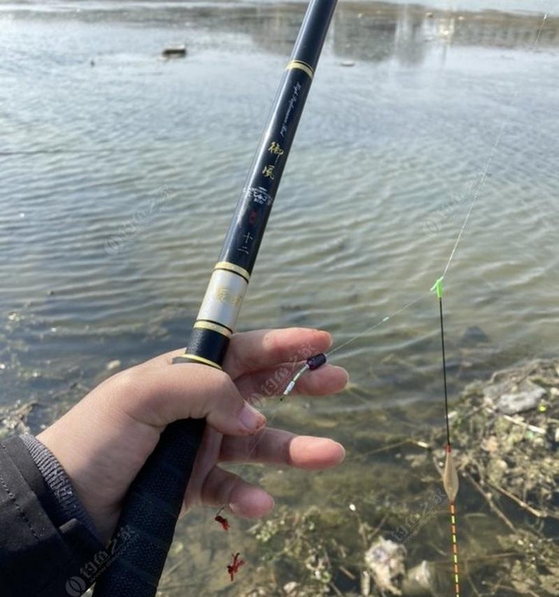初夏浅滩钓鱼技巧教程？如何提高钓鱼成功率？
