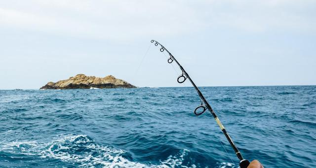 初夏浅滩钓鱼技巧教程？如何提高钓鱼成功率？