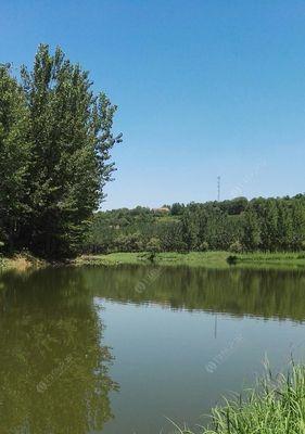 初夏水库钓鱼技巧有哪些？如何提高钓鱼成功率？