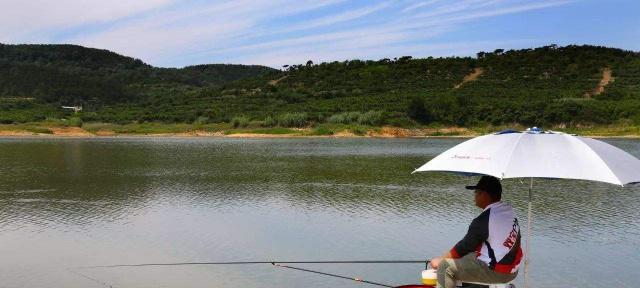 初夏水库野钓技巧教程？如何提高钓鱼成功率？