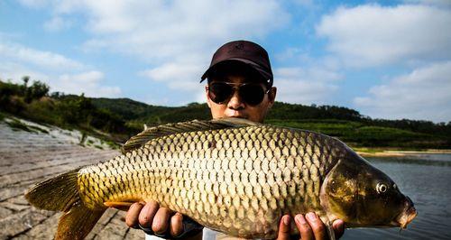 初夏天钓鱼技巧有哪些？如何应对天气变化提高钓鱼成功率？