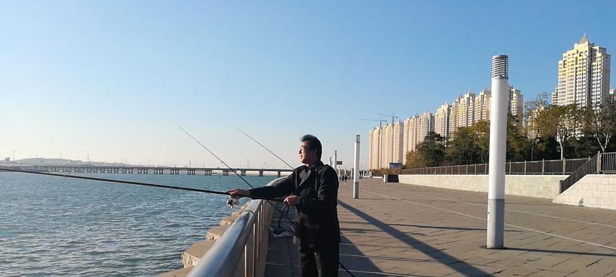 初夏午后钓鱼技巧是什么？如何提高钓鱼成功率？