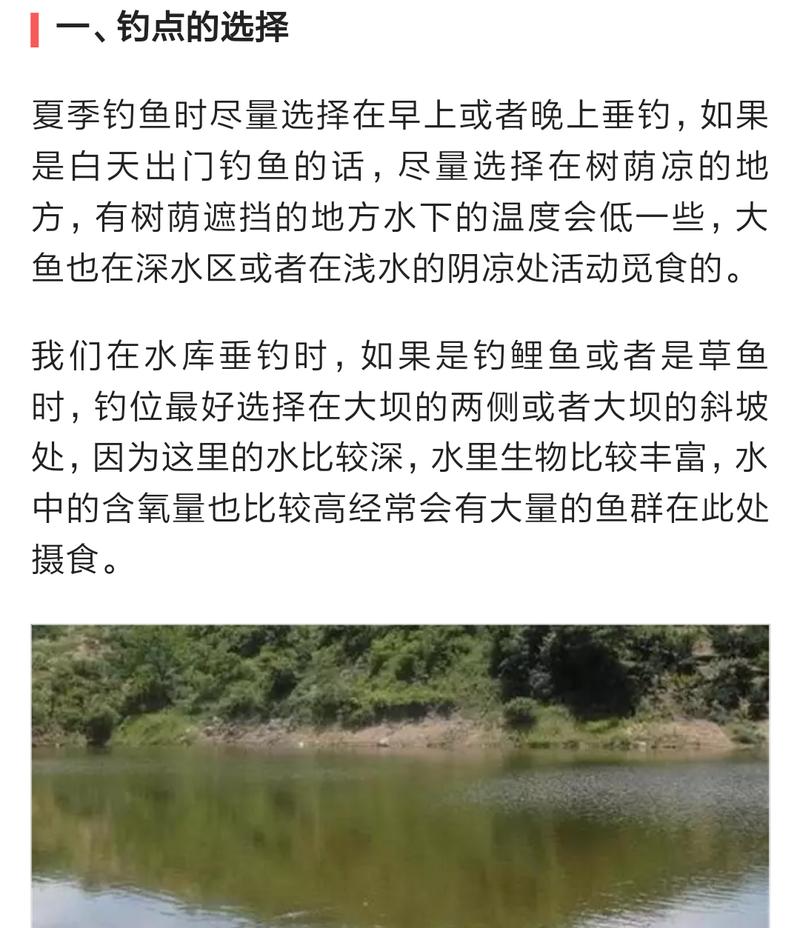 初夏小水库钓鱼技巧有哪些？如何提高钓鱼成功率？
