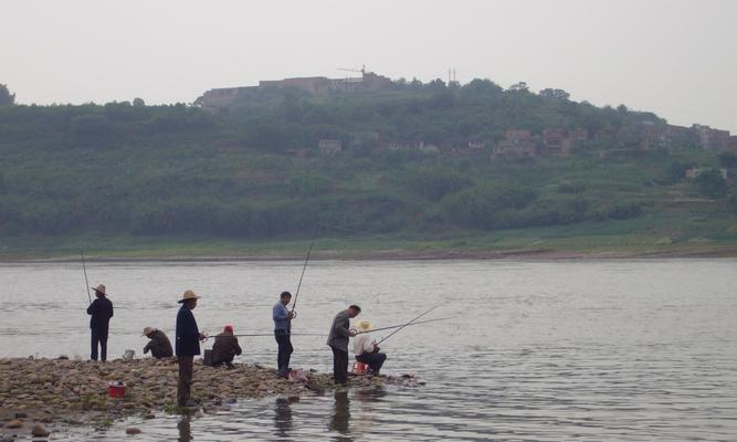 初夏野钓鲤鱼如何选择最佳钓位？掌握哪些技巧能提高成功率？