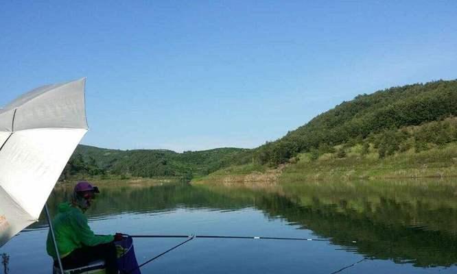 初夏野钓如何选择最佳钓位？有哪些技巧可以提高渔获？