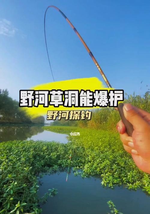 初夏下午野河钓鱼技巧有哪些？如何提高钓获率？