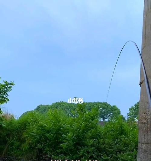 初夏雨季钓鱼技巧有哪些？如何应对雨季钓鱼的常见问题？