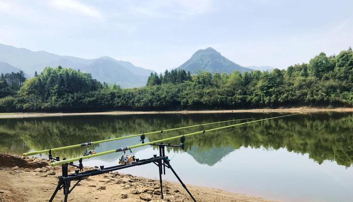 初夏雨季钓鱼技巧和方法是什么？如何提高钓鱼成功率？
