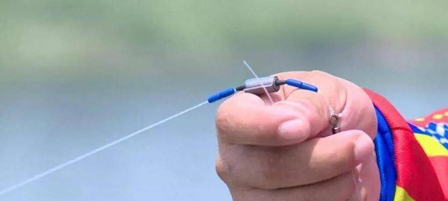 初学者钓鱼入门技巧？如何选择合适的钓具和鱼饵？