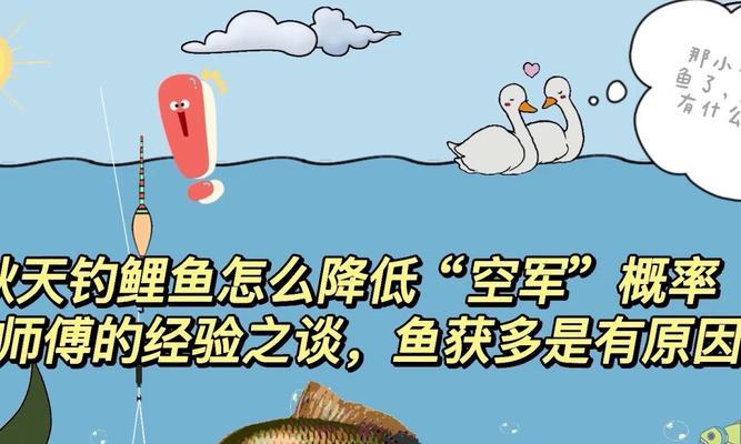 初学者秋天钓鱼技巧有哪些？如何提高秋天钓鱼的成功率？