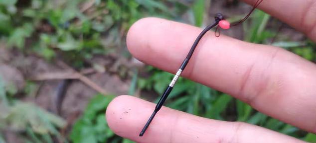 初学者入门钓鱼技巧？如何选择合适的钓具和鱼饵？
