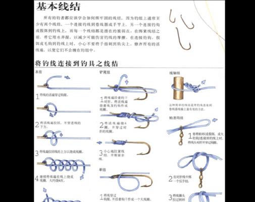 初学者入门钓鱼技巧？如何选择合适的钓具和鱼饵？