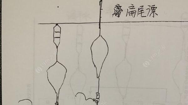 初学者手竿钓鱼调漂技巧是什么？如何快速掌握？
