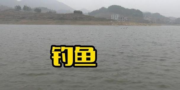 初学者野钓的技巧有哪些？如何快速掌握基本钓鱼方法？