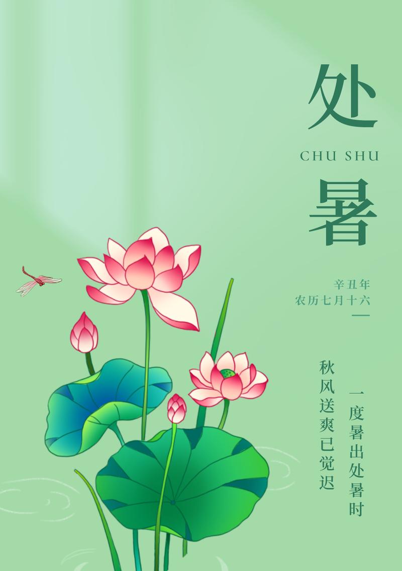 处暑节野河夜钓鲤鱼的技巧是什么？如何提高钓鲤鱼的成功率？