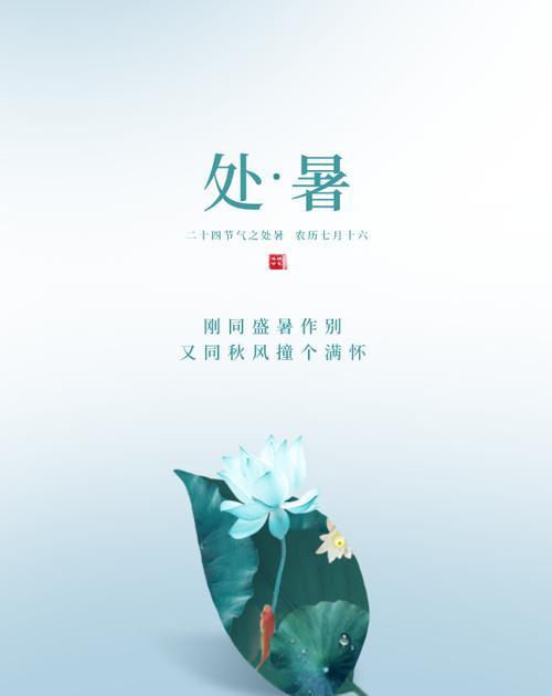 处暑节野河夜钓鲤鱼的技巧是什么？如何提高钓鲤鱼的成功率？