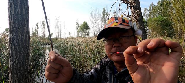 传统钓抛竿的技巧和方法是什么？如何提高钓鱼效率？