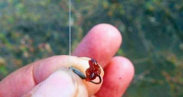 传统钓手竿抛竿技巧和方法是什么？如何提高抛竿准确性？