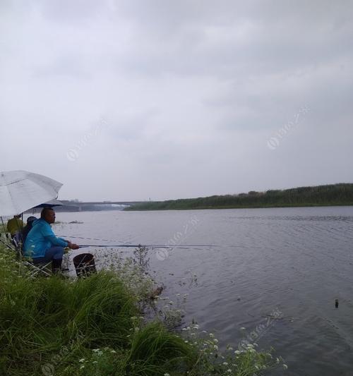 传统钓野钓沟渠技巧有哪些？如何提升沟渠钓鱼的效率？