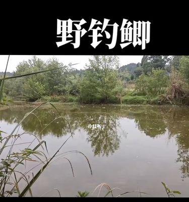春季钓鱼技巧21有哪些？传统钓鱼技巧如何应用在春季？