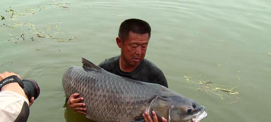 传统钓鱼技巧双钩如何使用？双钩钓鱼有哪些常见问题？