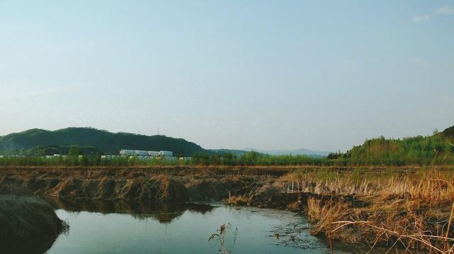 春季流水沟钓鱼技巧有哪些？如何提高钓鱼成功率？