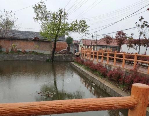 春季流水沟钓鱼技巧有哪些？如何提高钓鱼成功率？