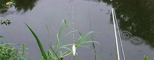 春季钓鱼技巧有哪些？如何提高钓鱼成功率？