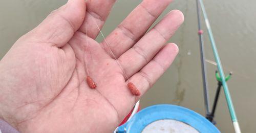 春季如何抛竿钓鲤鱼？掌握哪些技巧能提高成功率？