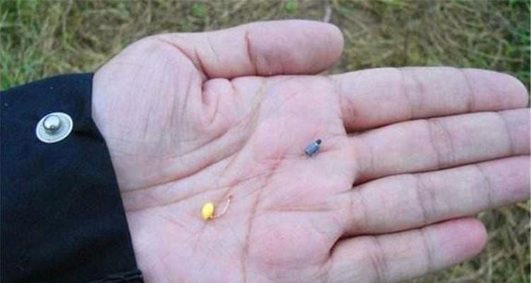 春季钓鱼技巧有哪些？气温变化对钓鱼有何影响？