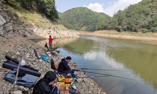 春季人工湖钓鱼技巧有哪些？如何提高钓鱼成功率？